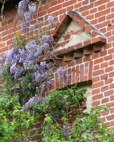 Bois des Moutiers (2) Mai 2012
